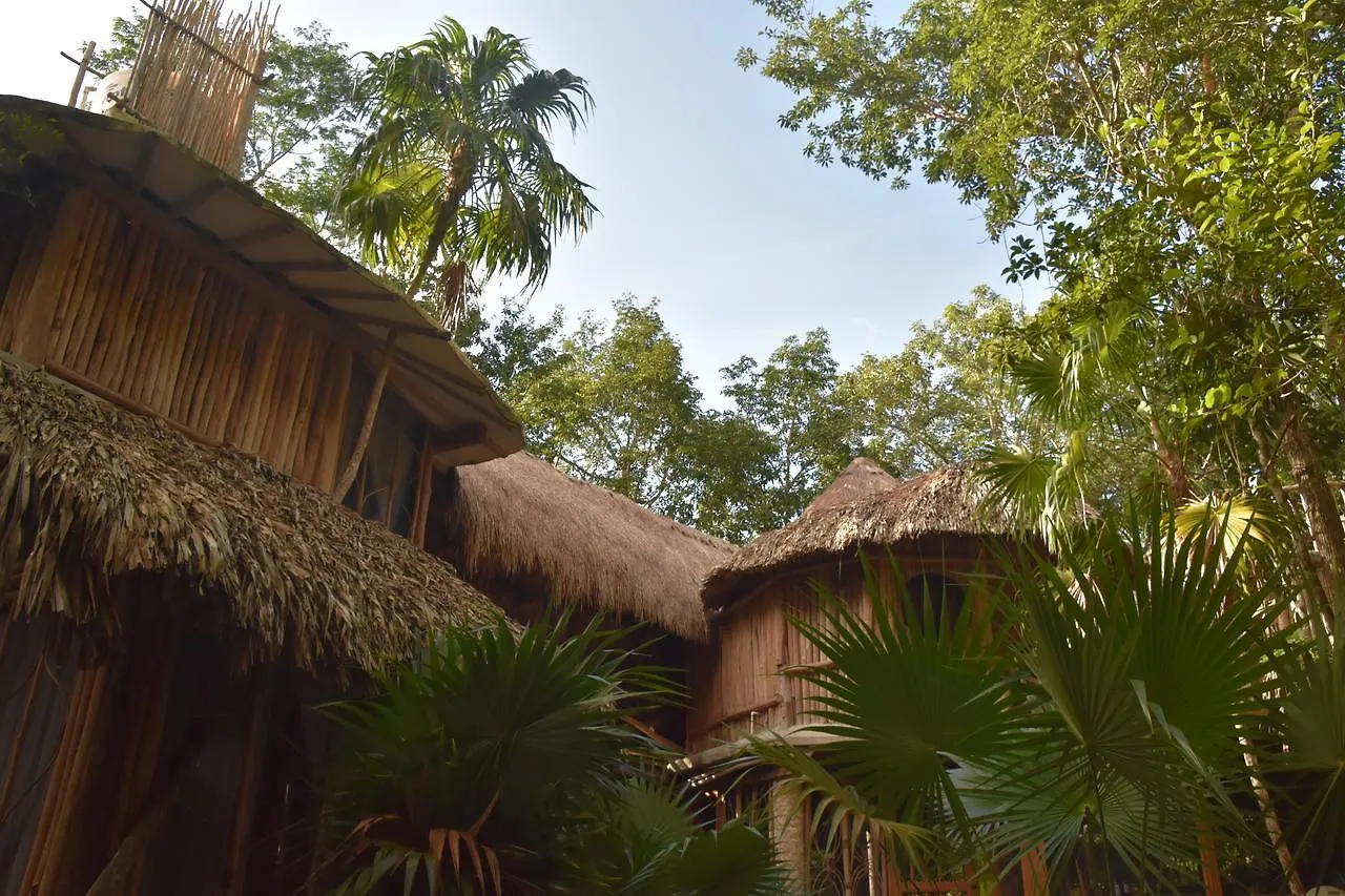 Отель Cupaima Casa En La Selva Сольферино 0*,  Мексика